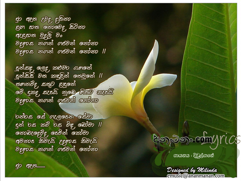 Dura Atha Uwada Dakina Laga Patha Noweda Sitina - Karunarathna Divulgane Sinhala Lyric
